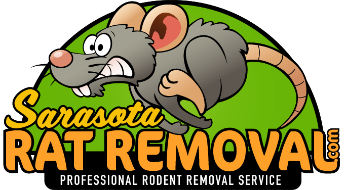 Sarasota Rat Removal — Professional Rodent Removal Service
